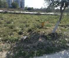  Residential Plot for Sale in Sector 15 Sonipat