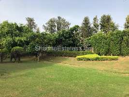  Agricultural Land for Sale in Ganaur, Sonipat