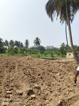  Agricultural Land for Sale in Bargur, Krishnagiri