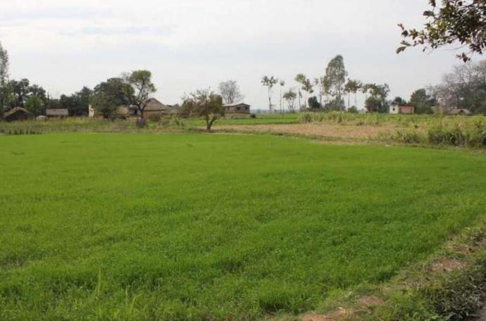 Agricultural Land 17 Acre for Sale in Bilaspur Road, Raipur