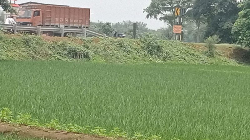  Commercial Land 17000 Sq.ft. for Sale in Old Dhamtari Road, Raipur