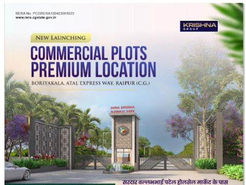  Commercial Land 1000 Sq.ft. for Sale in Boria Kalan, Raipur