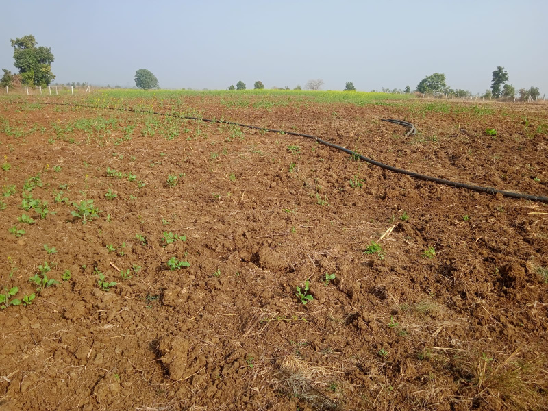  Commercial Land 36000 Sq.ft. for Sale in New Dhamtari Road, Raipur
