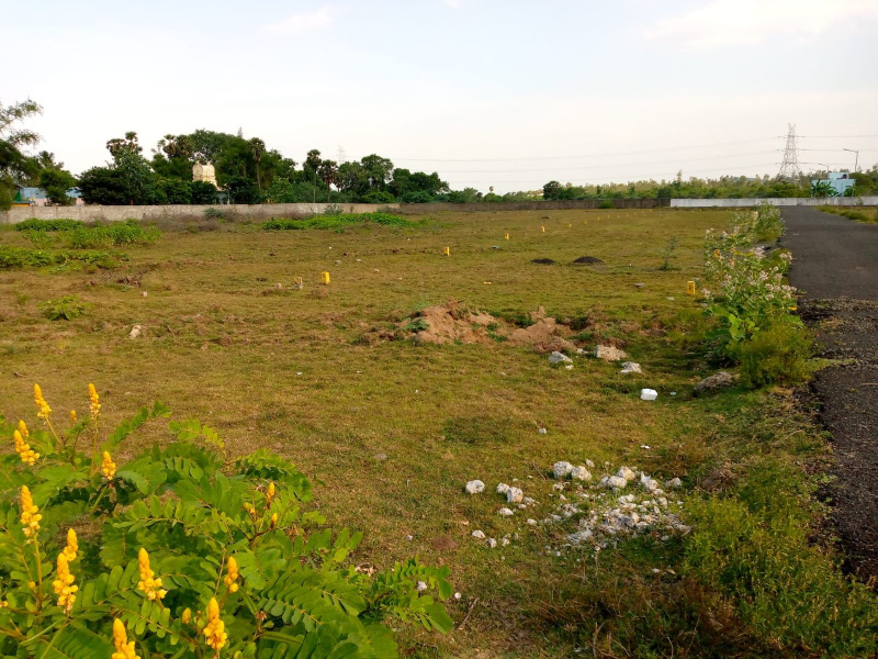  Commercial Land 8611 Sq.ft. for Sale in Naya Raipur, Raipur