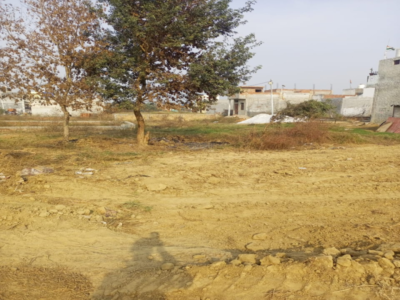  Commercial Land 10000 Sq.ft. for Sale in Naya Raipur, Raipur