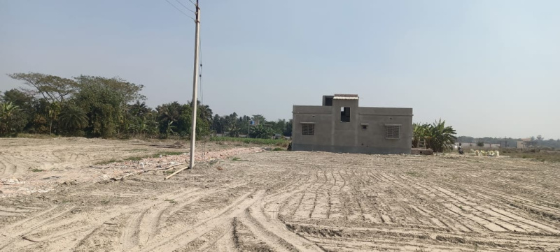  Commercial Land 650 Sq.ft. for Sale in Dumartara, Raipur