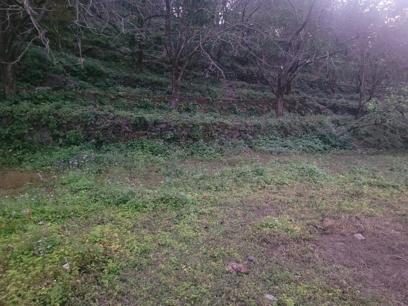  Commercial Land 1260 Sq.ft. for Sale in Dumartara, Raipur