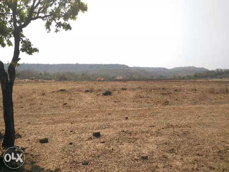  Commercial Land 6600 Sq.ft. for Sale in Old Dhamtari Road, Raipur