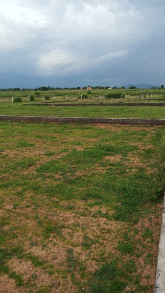  Commercial Land 8600 Sq.ft. for Sale in Old Dhamtari Road, Raipur
