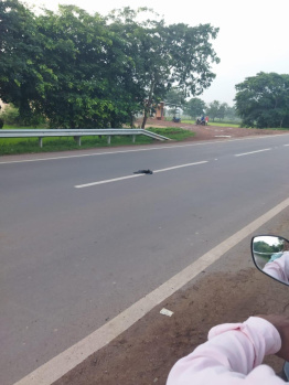  Residential Plot for Sale in Bhatagaon, Raipur
