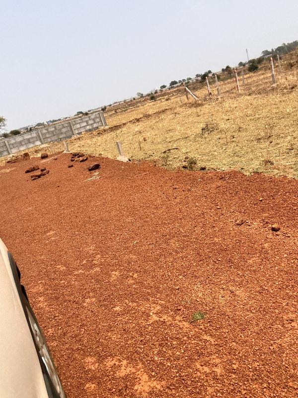  Residential Plot 1000 Sq.ft. for Sale in Sejbahar, Raipur