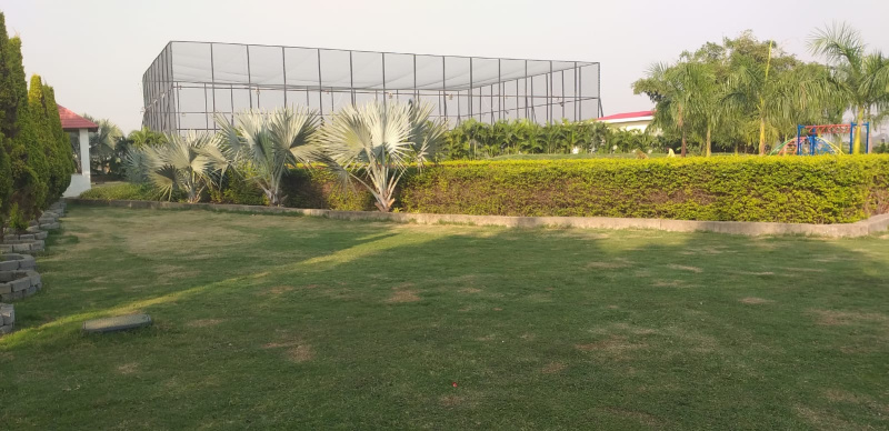  Residential Plot 2000 Sq.ft. for Sale in Sejbahar, Raipur