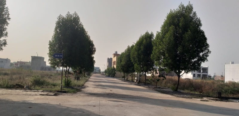  Residential Plot 2000 Sq.ft. for Sale in Sejbahar, Raipur