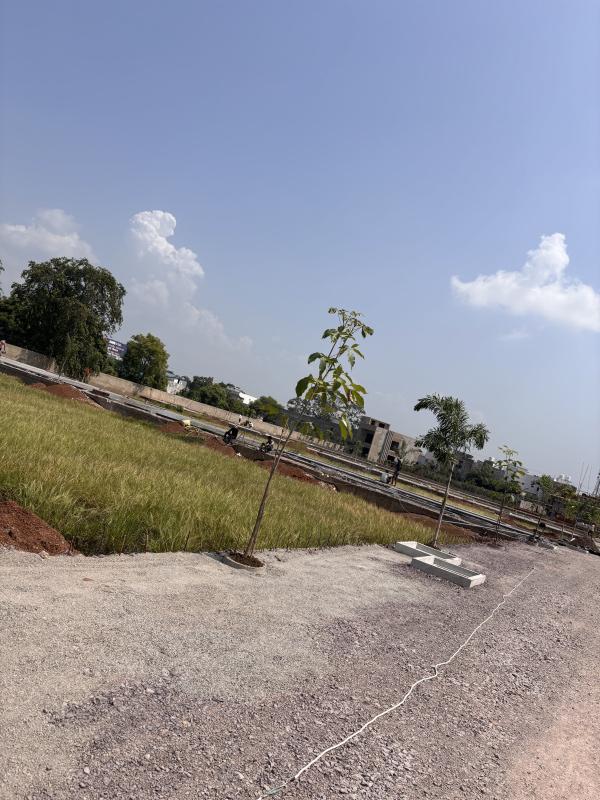  800 Sq.ft. Commercial Land for Sale in Dumartara, Raipur