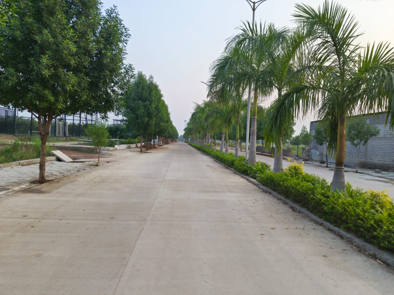  Residential Plot 1011 Sq.ft. for Sale in Jora, Raipur