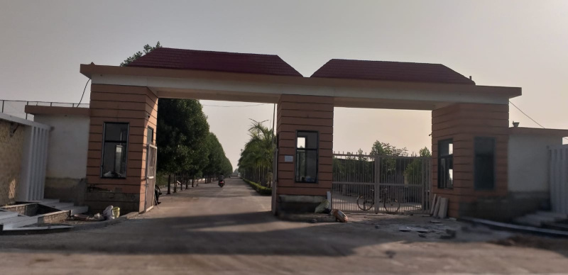  Residential Plot 1200 Sq.ft. for Sale in Sejbahar, Raipur