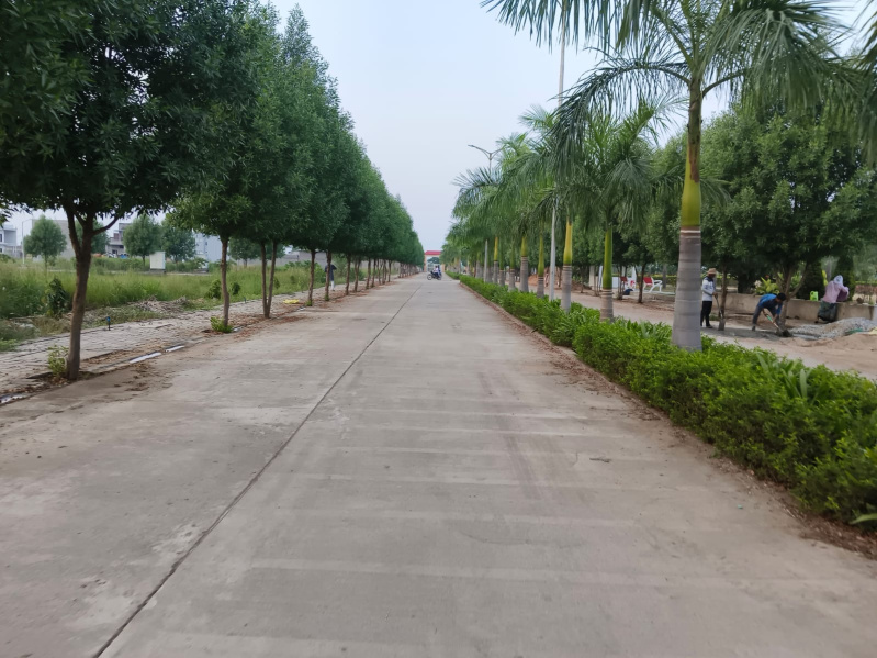  Residential Plot 3000 Sq.ft. for Sale in Sejbahar, Raipur