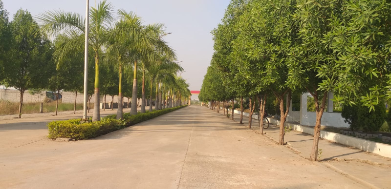  Residential Plot 3000 Sq.ft. for Sale in Sejbahar, Raipur