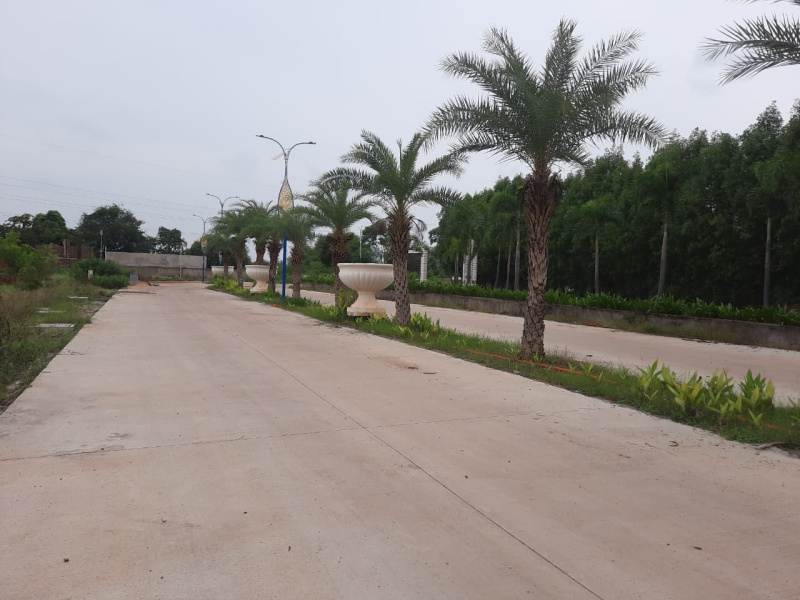  Residential Plot 1520 Sq.ft. for Sale in Sejbahar, Raipur