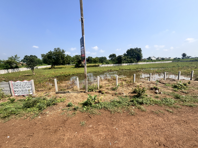  1375 Sq.ft. Residential Plot for Sale in Amleshwar, Raipur