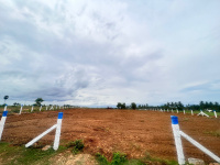  Agricultural Land for Sale in Punjai Puliampatti, Erode