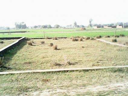  Residential Plot 775 Sq.ft. for Sale in Kanpur Road, Lucknow
