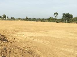  Agricultural Land for Sale in Palamaneru, Chittoor