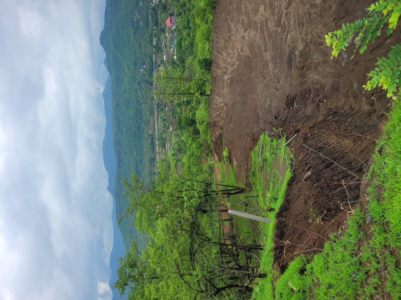  Residential Plot 4 Acre for Sale in Poladpur, Raigad