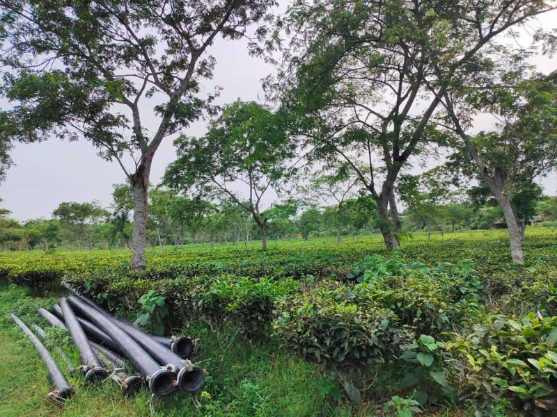  Agricultural Land 2700 Ares for Sale in Bankim Nagar, Siliguri