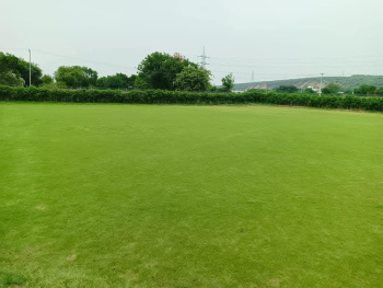  Agricultural Land for Sale in Sohna, Gurgaon