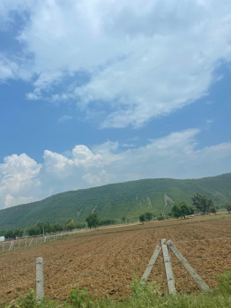 Agricultural Land for Sale in Naugaon, Alwar