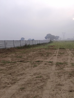  Agricultural Land for Sale in Sohna Palwal Road, Gurgaon