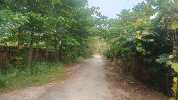  Agricultural Land for Sale in Prithla, Palwal