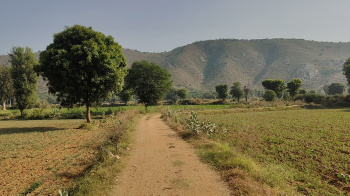  Agricultural Land for Sale in Tijara, Alwar
