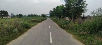 Agricultural Land for Sale in Mandkola, Palwal