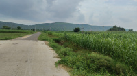  Agricultural Land for Sale in Tijara, Alwar