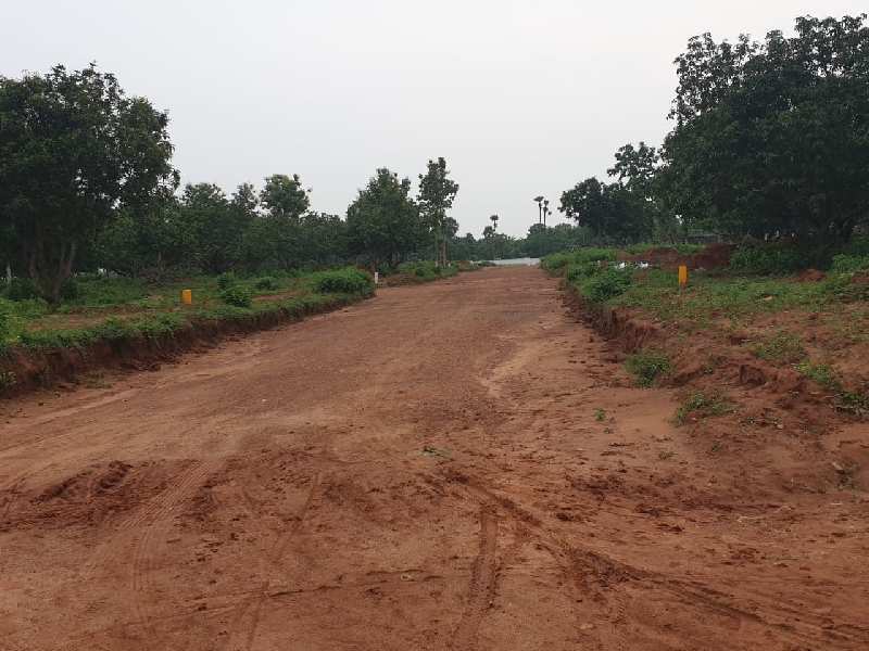  Residential Plot 200 Sq. Yards for Sale in Achutapuram, Visakhapatnam