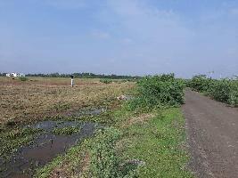  Industrial Land for Sale in Matar, Kheda
