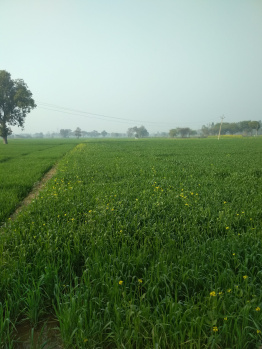  Agricultural Land for Sale in Harduaganj, Aligarh