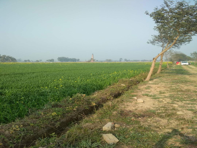  22 Bigha Agricultural/Farm Land for Sale in Harduaganj, Aligarh