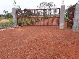  Residential Plot for Sale in Naya Raipur, Raipur