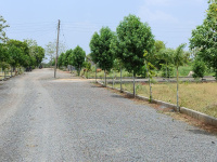 Residential Plot for Sale in Shiva Nagar, Naya Raipur,