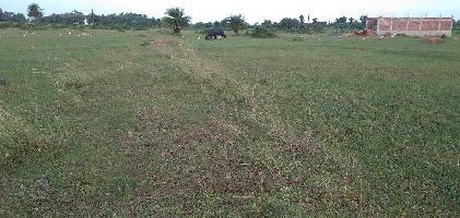  Agricultural Land for Sale in Konisi, Berhampur