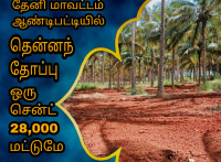  Agricultural Land for Sale in Andipatti Jakkampatti, Theni