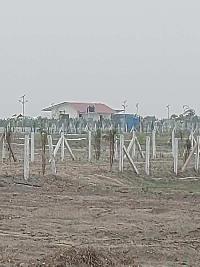 1 RK Farm House for Sale in Noida-Greater Noida Expressway