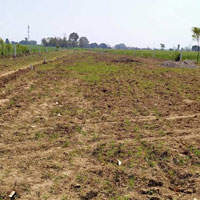  Agricultural Land for Sale in Sahaspur, Dehradun