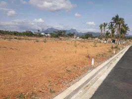  Residential Plot for Sale in Thamaraipadi, Dindigul