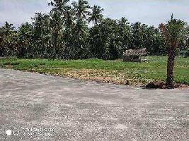  Agricultural Land for Sale in Thadagam Road, Coimbatore
