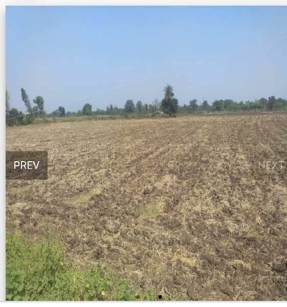  Agricultural Land 5 Acre for Sale in Ashta, Sehore