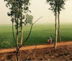  Commercial Land for Sale in Contai, Medinipur